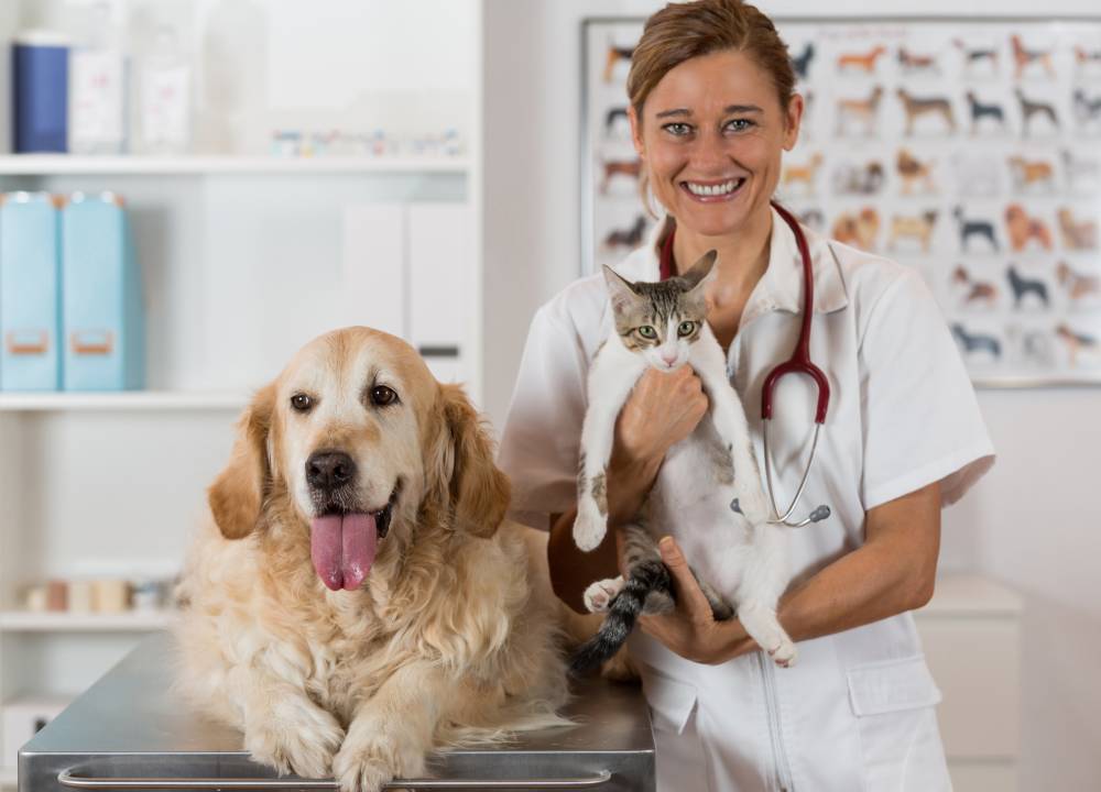 Pets and Pet Care