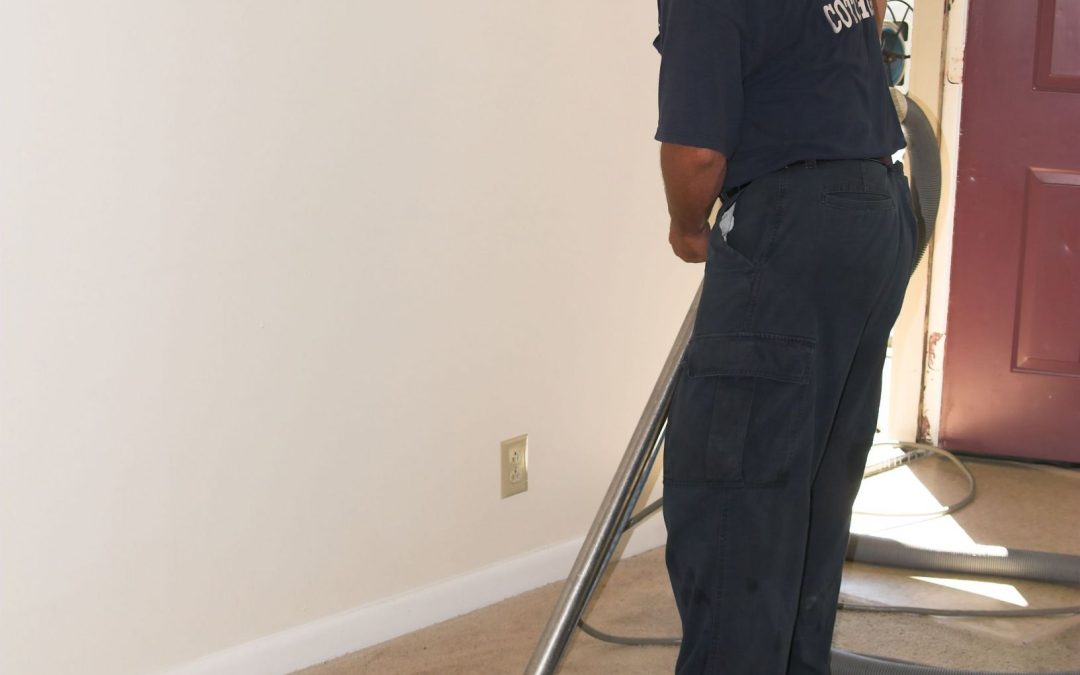 Keeping Homes And Businesses Spotless With Carpet Cleaning Services in Mesa, AZ