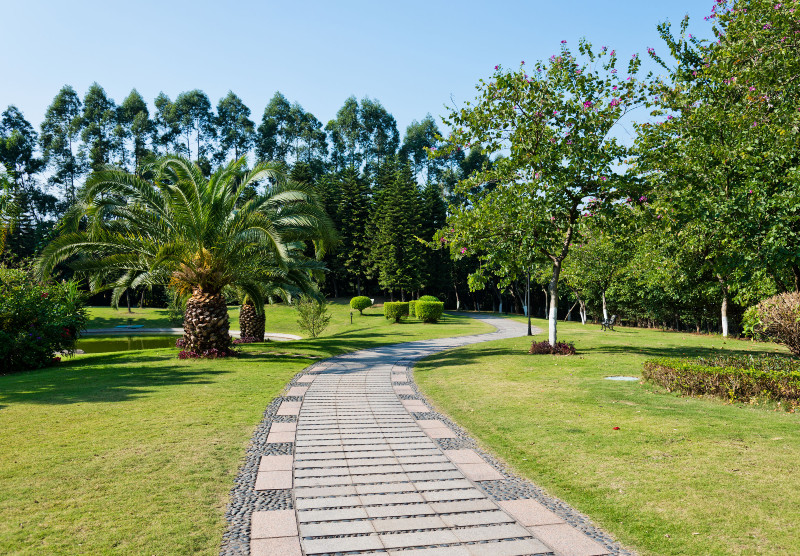 Garden Landscaping in Calgary: A Guide to Transforming Your Outdoor Space