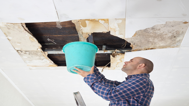 Unlocking Relief: Water Damage Cleanup Services in Omaha, NE