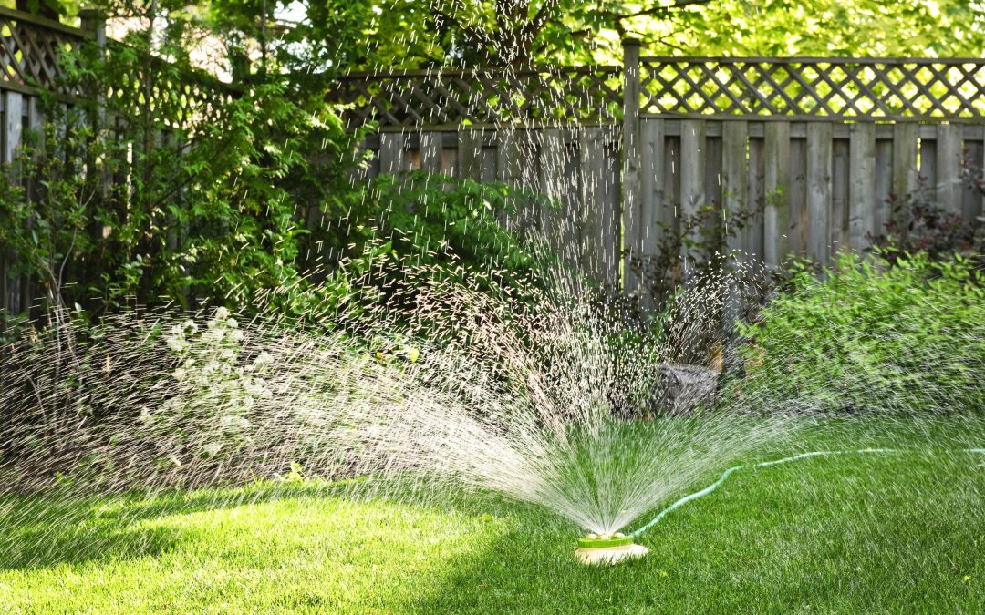 Efficient Watering Solutions: Drip Irrigation in Austin