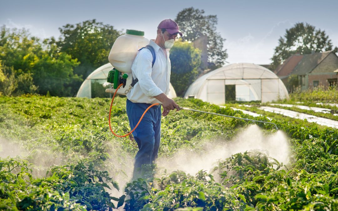 Innovative Crop Care Strategies Through Advanced Agriculture Drone Spray in Bloomington’s Fields