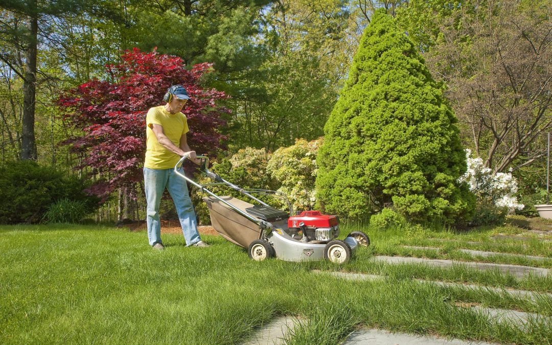 Unlocking Lawn Perfection: The Secrets to Successful Lawn Maintenance in Toronto