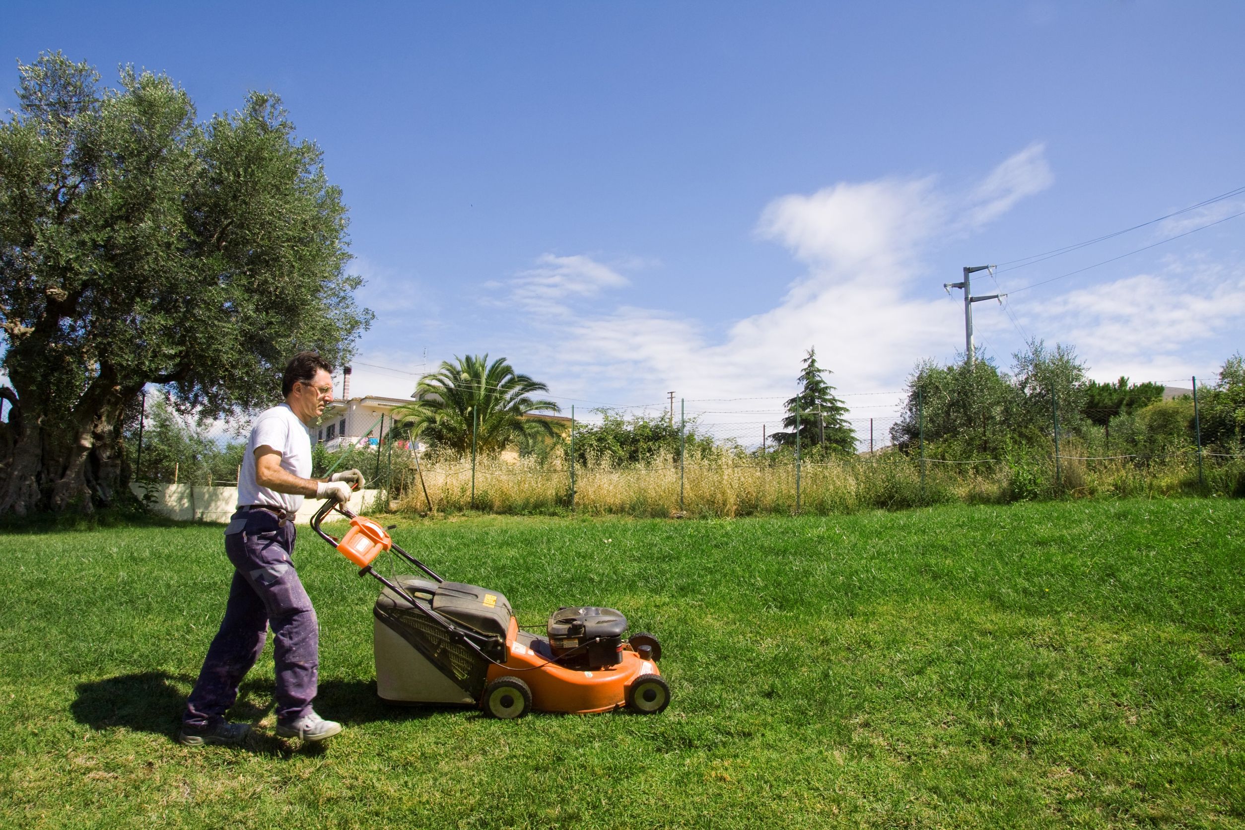 7935815_l-mower-cutting-grass