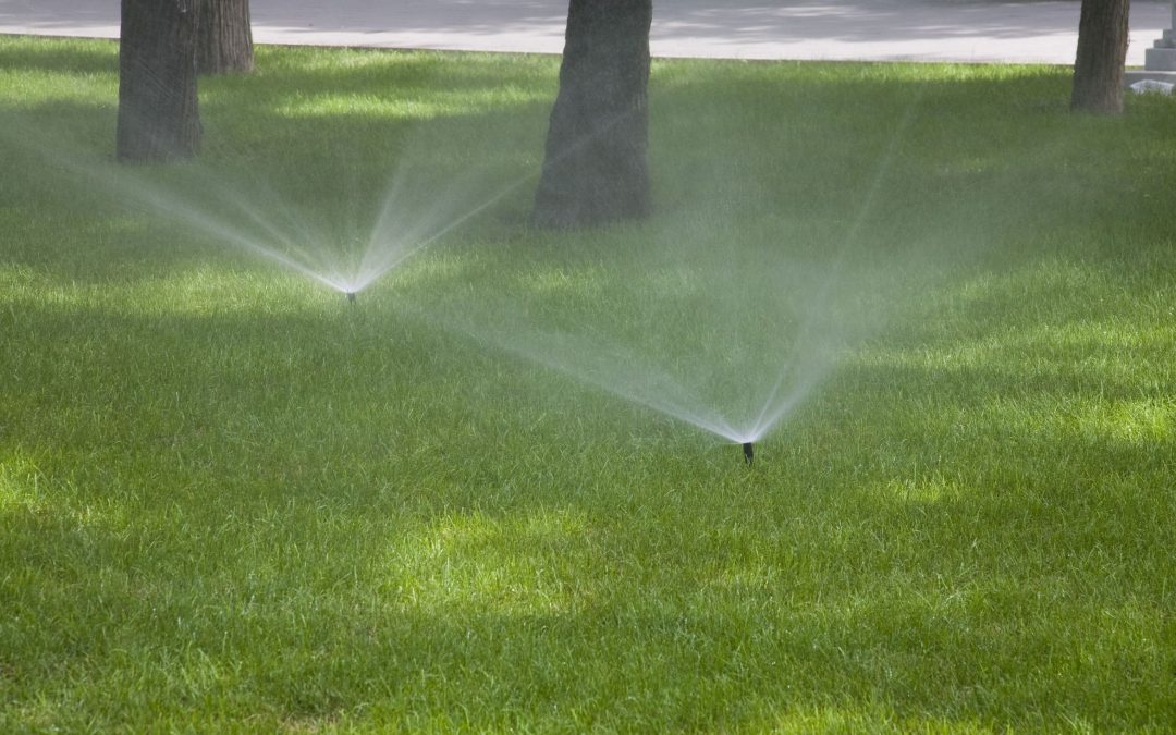 Revitalize Your Landscape: Essential Guide to Sprinkler System Repair in Austin