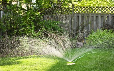 Reliable Sprinkler System Repair in Austin