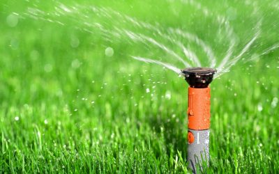 Enjoy a Thriving Lawn with Professional Sprinkler Repair Austin Homeowners Can Trust
