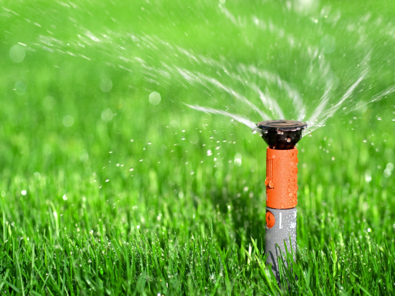 Enjoy a Thriving Lawn with Professional Sprinkler Repair Austin Homeowners Can Trust