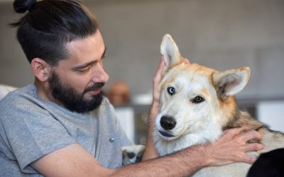 Why Choosing Luxury Dog Boarding Wisconsin Rapids WI Means Peace of Mind for Pet Parents