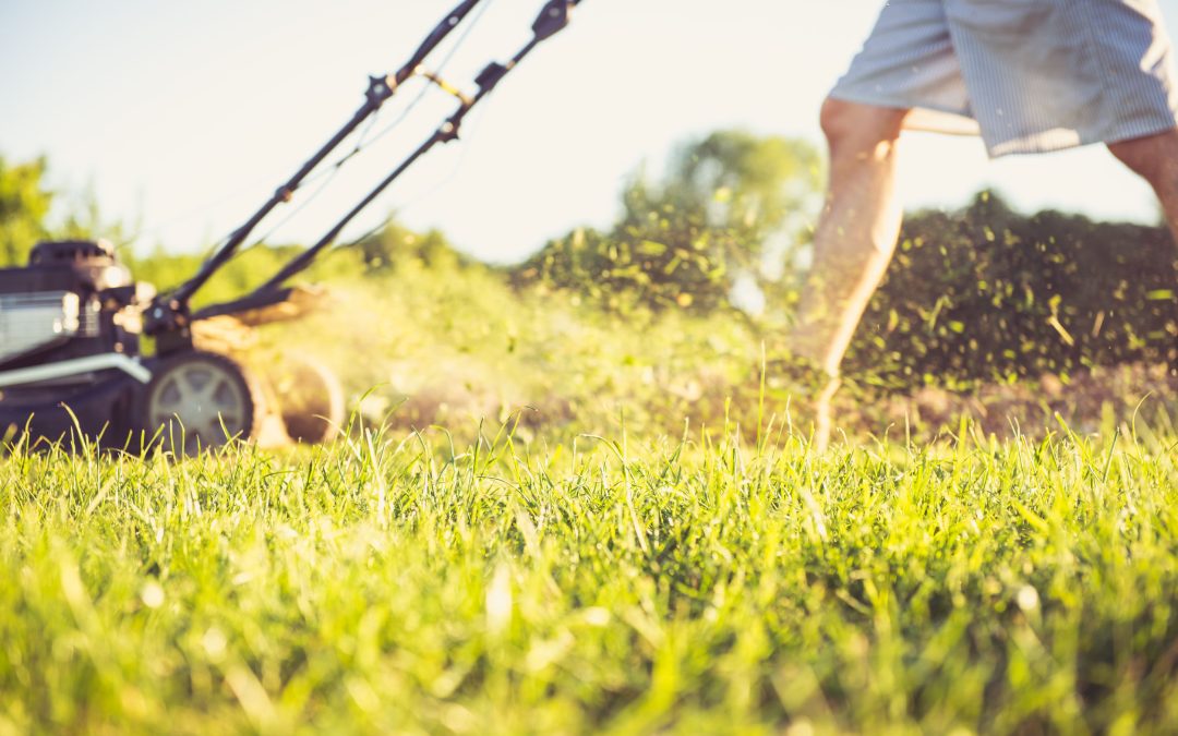 Achieve Beautiful Results With These Lawn Maintenance Strategies for Residents