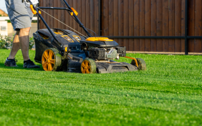 Enhance Curb Appeal With a Tree and Shrub Service Near Charlestown, IN for Healthy Landscapes