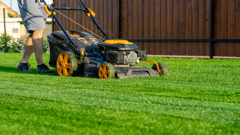 Enhance Curb Appeal With a Tree and Shrub Service Near Charlestown, IN for Healthy Landscapes