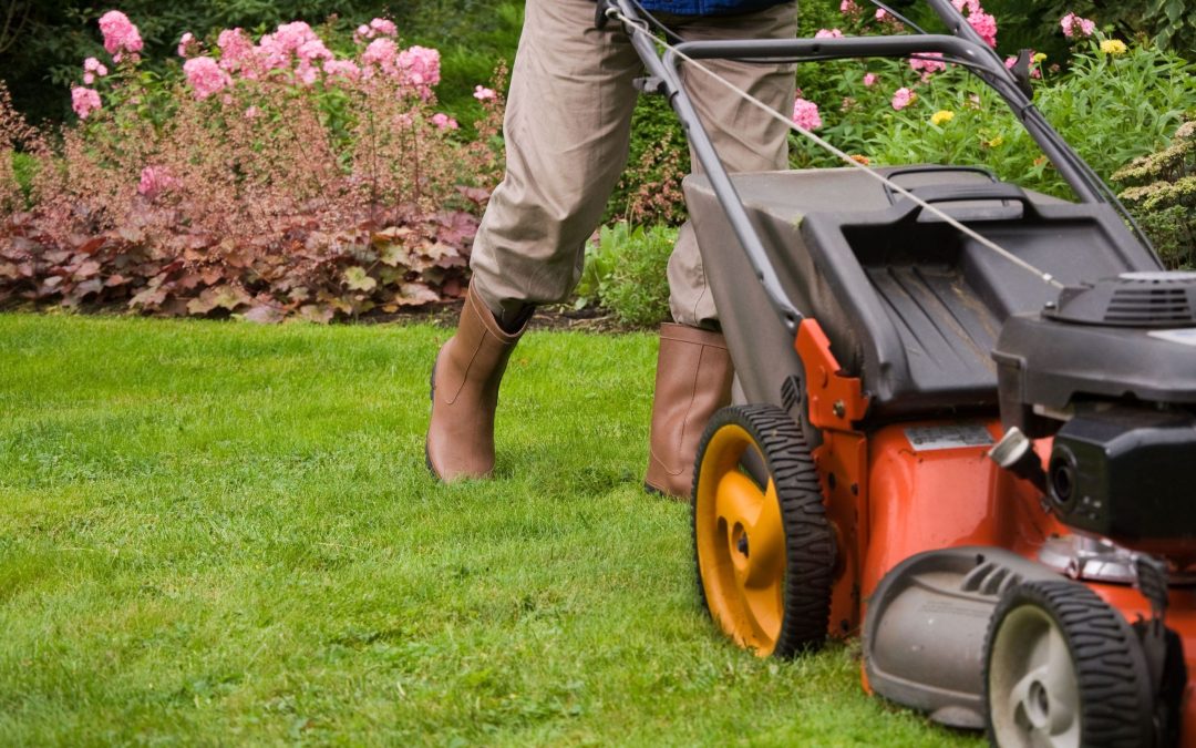 Commercial Lawn Maintenance Essential for Healthy Lawns and a Welcoming Business