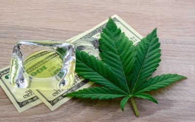 Enhance Customer Experiences in Your Cannabis Store With a CBD POS System