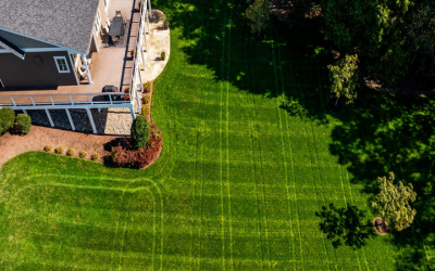 Prevent Bites By Hiring Mosquito Control Companies In Gainesville, VA, For Backyard Safety