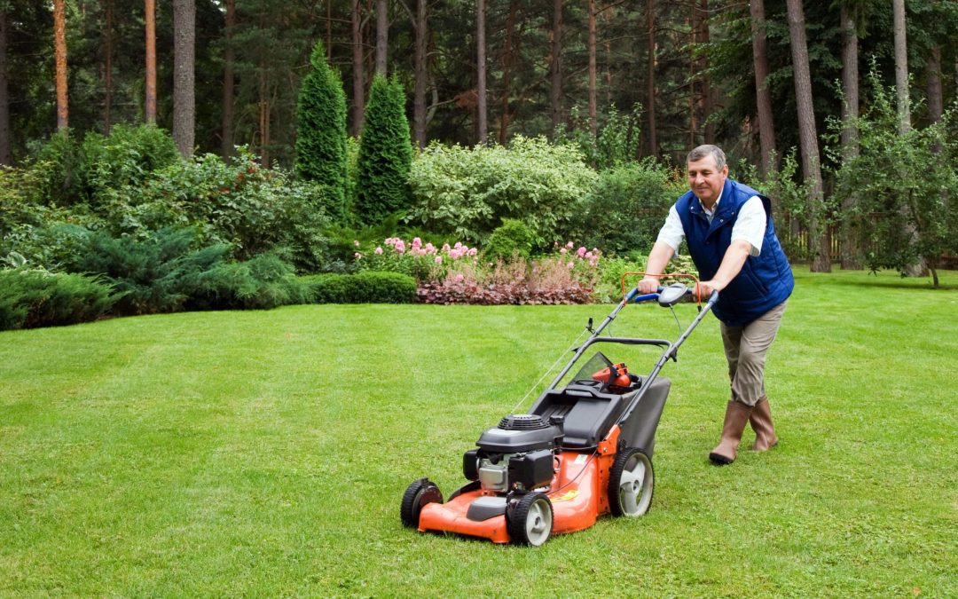 Proven Ways a Commercial Lawn Service Enhances Your Business Curb Appeal