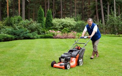 Proven Ways a Commercial Lawn Service Enhances Your Business Curb Appeal