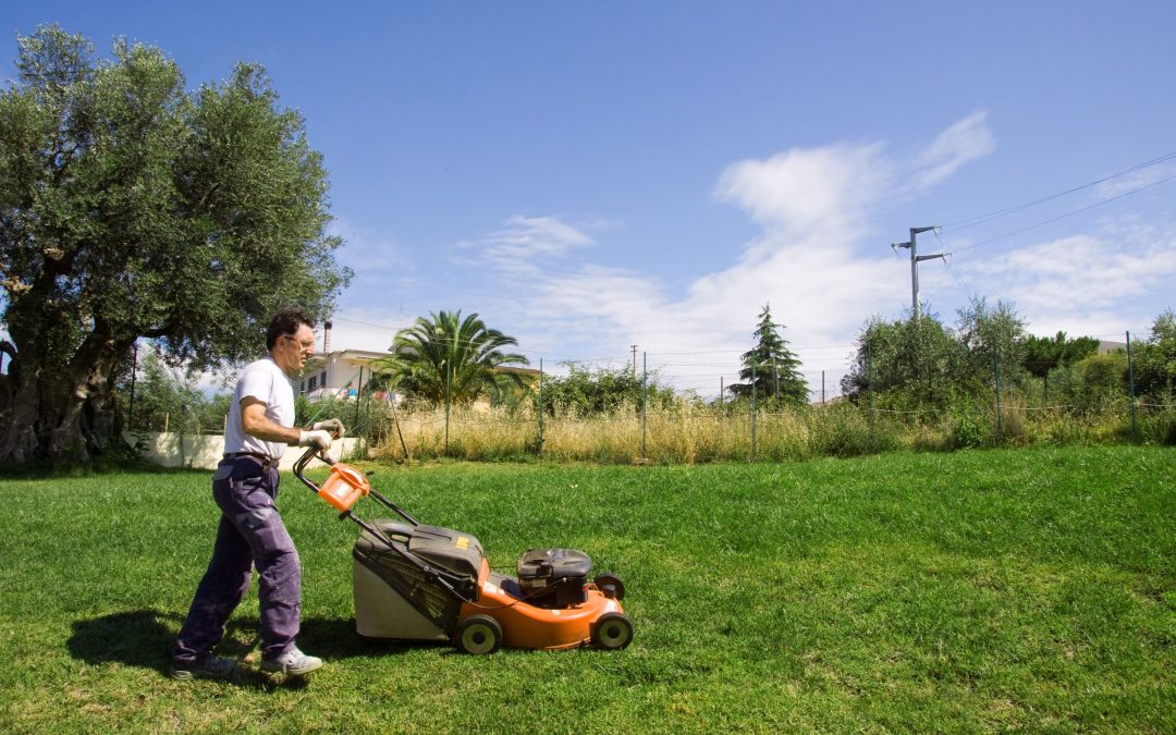 Commercial Landscape Services Company Simplifies Property Maintenance Solutions for Businesses