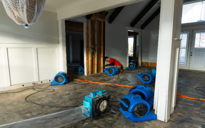 Health Risks Addressed By Professional Biohazard Cleanup Services In Macon, GA