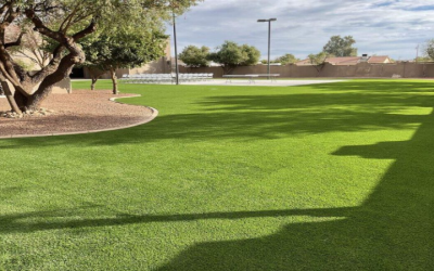How Curved Edges And Angled Corners Affect Artificial Grass Installation
